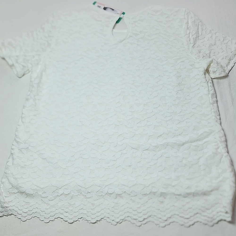 NWT Teddi Rose XL White Lace Textured Women's Top Thread Collective Brand New - Picture 11 of 12